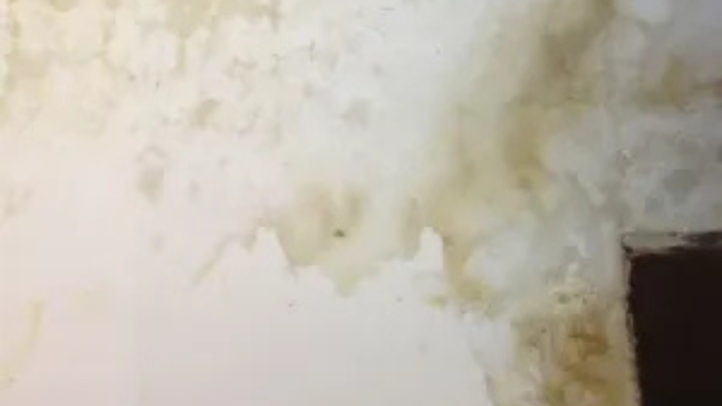 Cara Mengatasi Tembok Belang